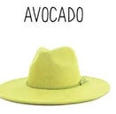 Wide Brim Vegan Suede Hat -lasered
