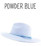 Wide Brim Vegan Suede Hat -lasered