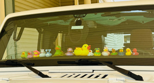 Jeep ducks in a row