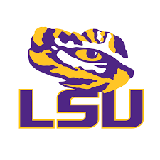 3D LSU Eye of the tiger door sign